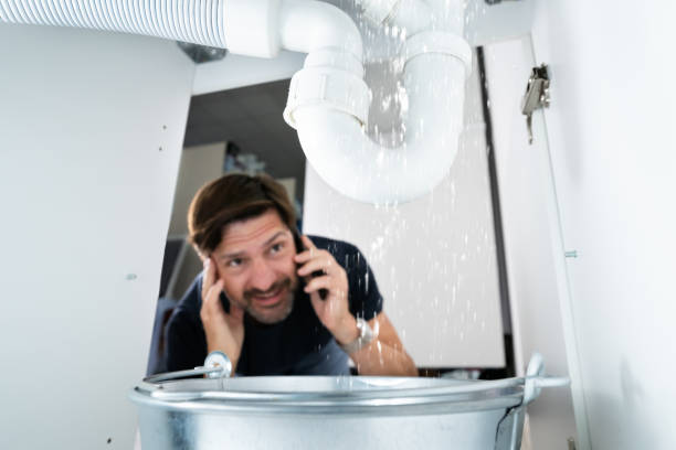 Best Sprinkler Systems  in West Cape May, NJ